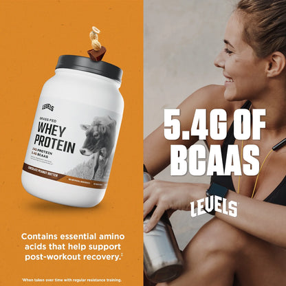 Grass Fed Whey Protein Powder, No Artificials, 24G of Protein, Chocolate Peanut Butter, 2LB